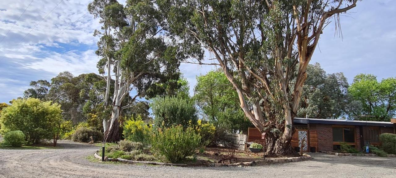 Halls Haven Holiday Units Halls Gap Eksteriør billede